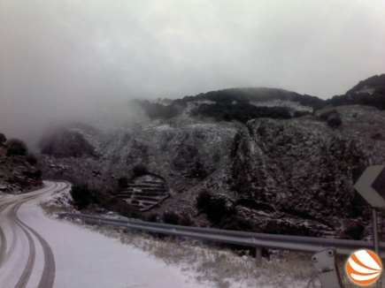 dsc0000021.jpg